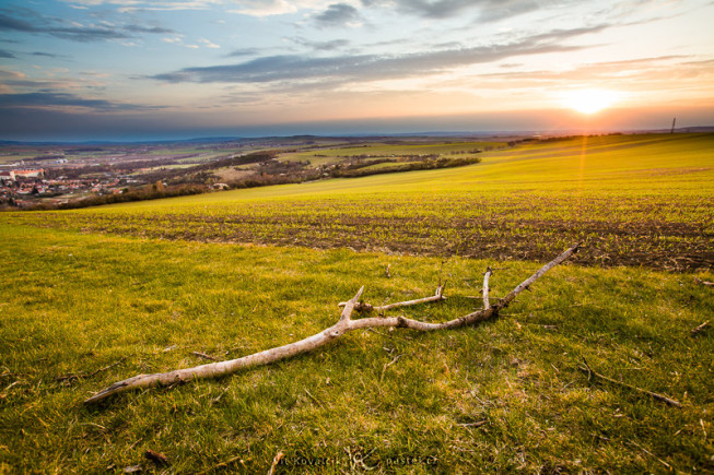 The same sunset, but this time with a dry branch that illustrates the real extent of the scene. Also note the positioning of the horizon a third of the way from the top of the picture. Canon 5D Mark II, EF Canon 16-35mm F2.8 II USM, 1/50 s, F7.1, ISO 100, focus 20 mm. Photo: Vít Kovalčík