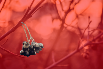 選択ツールの使い方を学ぶ—編集の鍵