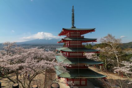 「Zoner Photo Studio X」で春の写真を簡単に編集してみよう