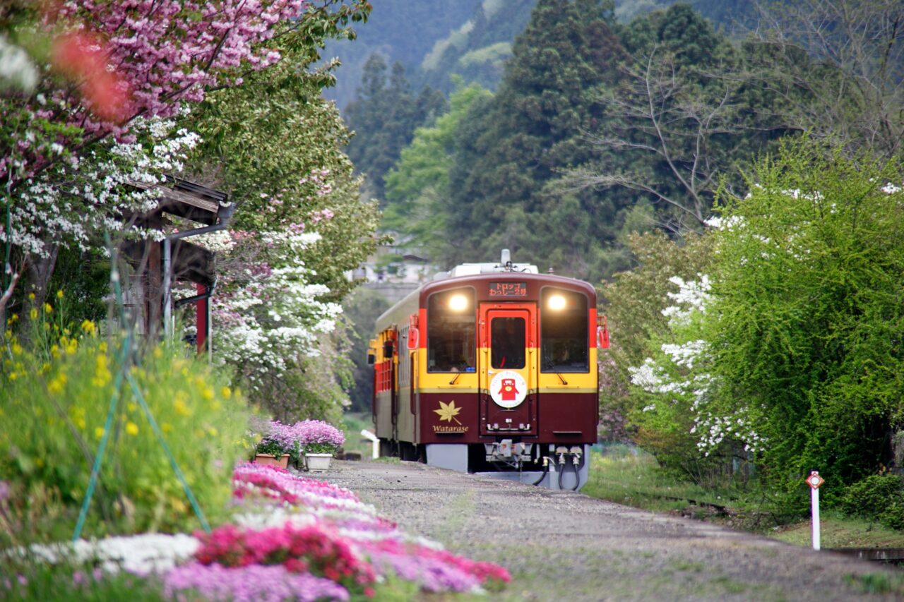 Zoner Photo Studio X：現像モジュールの使い方 | フォトレッスン教室